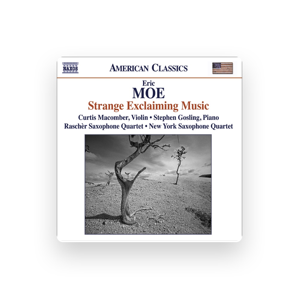 Фото New York Saxophone Quartet