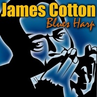 Blues Harp
