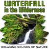 Waterfall In the Wilderness (Nature Sounds) - Single