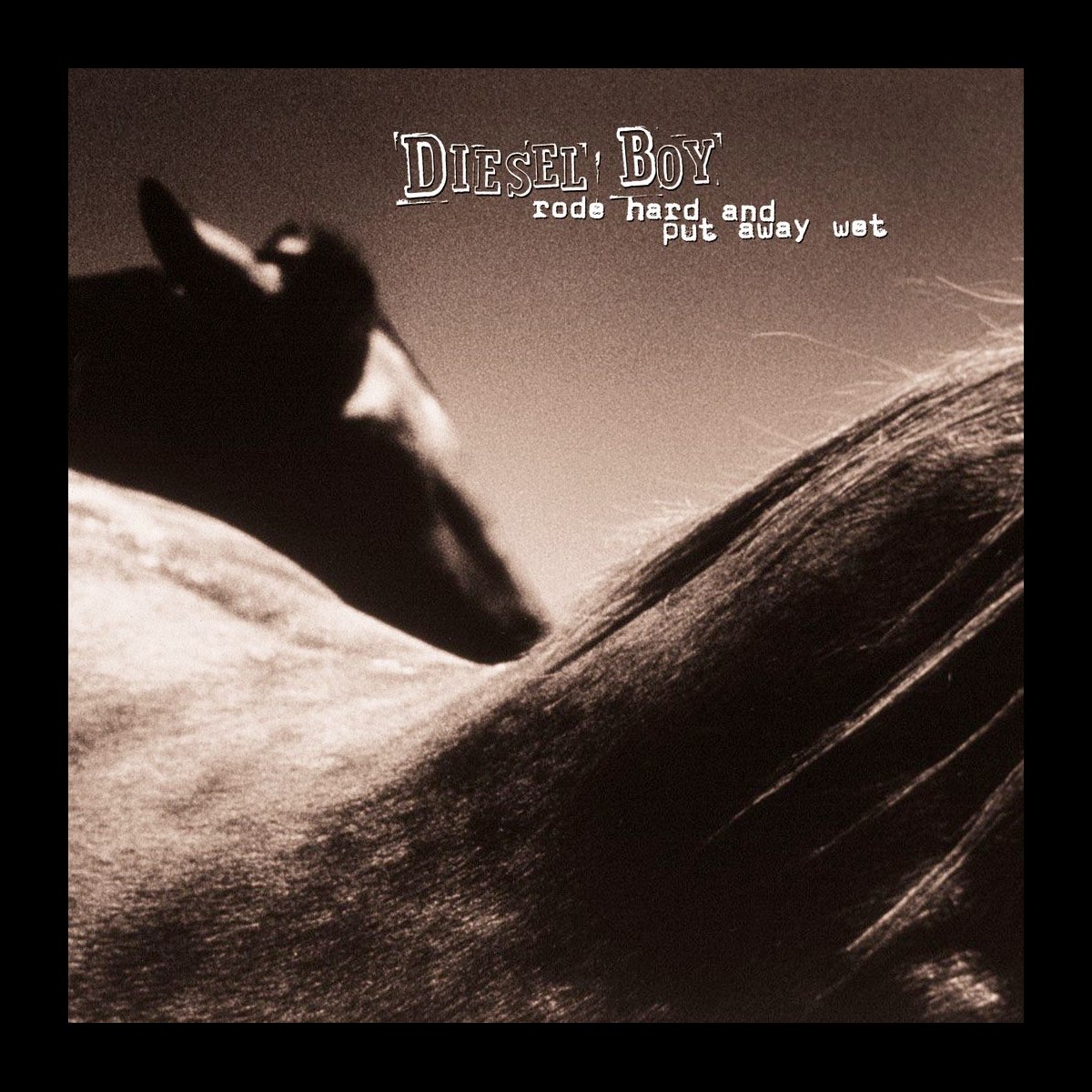 Rode Hard and Put Away Wet - Album by Diesel Boy - Apple Music