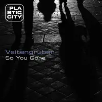 Sue Delight — Veitengruber