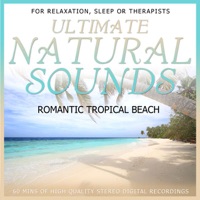 Ultimate Natural Sounds - Romantic Tropical Beach - Niall