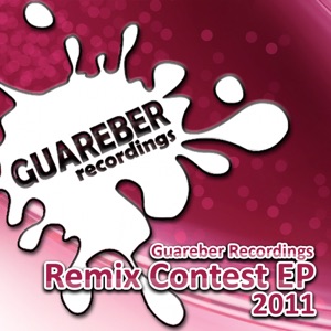 Echo (Guareber Recordings 2011 Remix Contest) (feat. Patricia Leidig) - Single