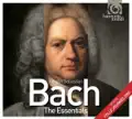 Brandenburg Concertos, Concerto No. 5 In D Major, Bwv 1050 Allegro (Johann Sebastian Bach)