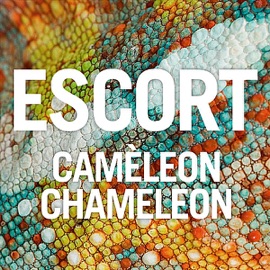 Caméleon Chameleon (Club Remix) Escort
