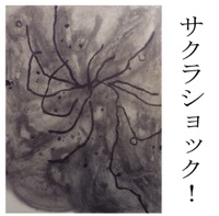 サクラショック!