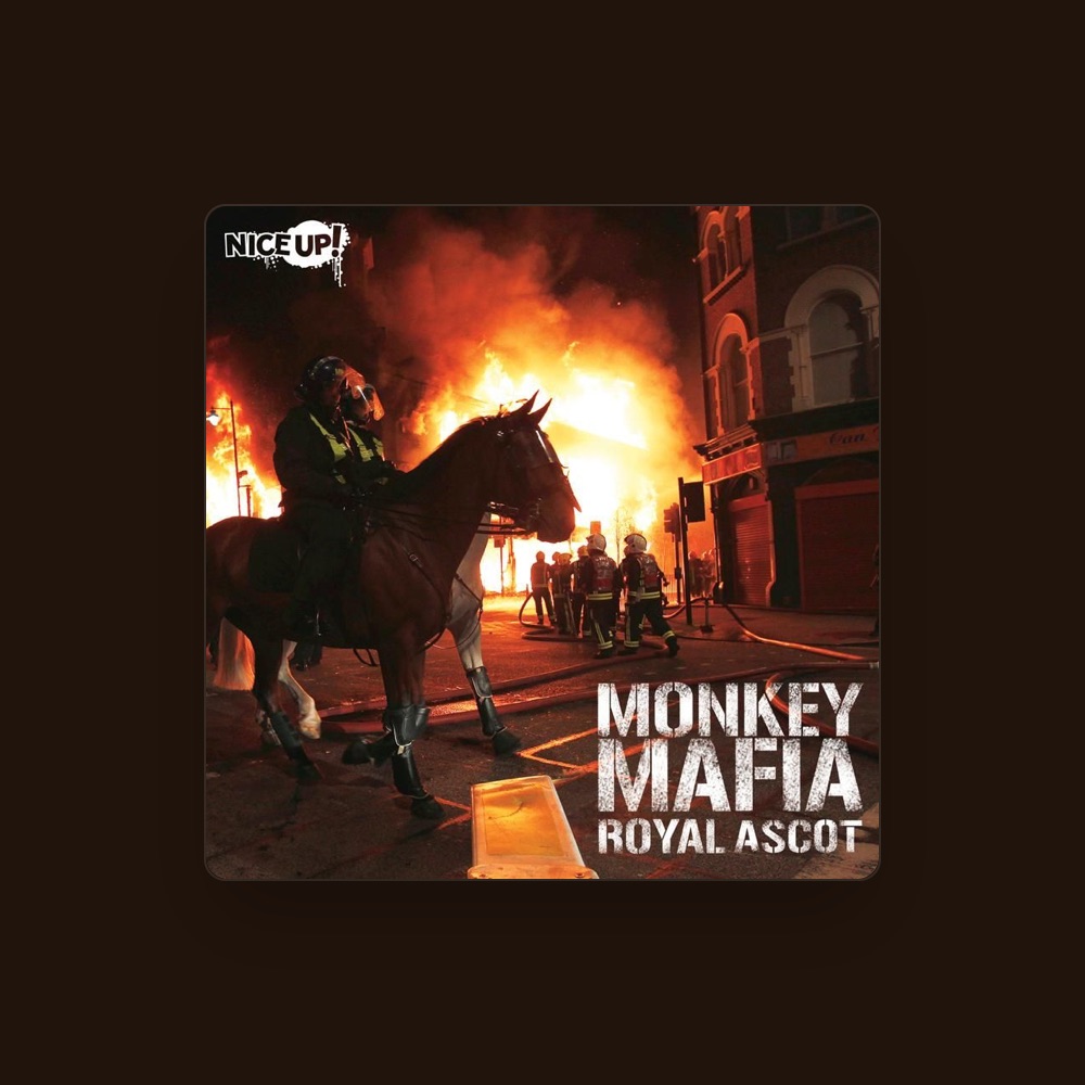 Фото Monkey Mafia