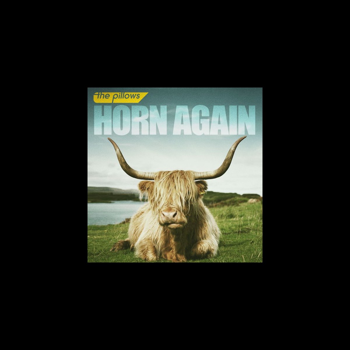 HORN AGAIN - Album by the pillows - Apple Music