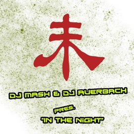 In the Night DJ Auerbach & DJ Mash