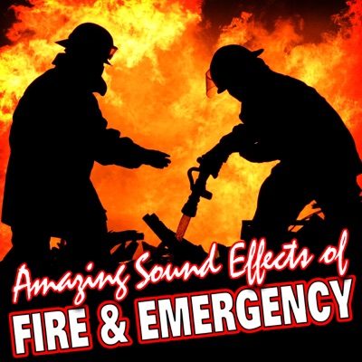 Police Accident Scene With Sirens and Radio Chatter-thumbnail