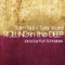 Rolling in the Deep - Sam Tsui, Tyler Ward & Kurt Hugo Schneider lyrics
