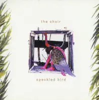Amazing — The Choir