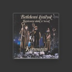Kormorán