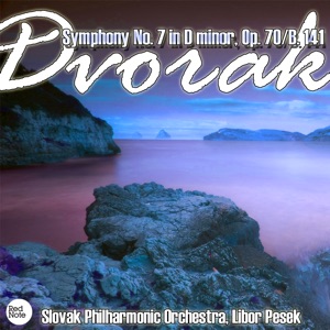 Dvorak: Symphony No. 7 in D minor, Op. 70/B. 141