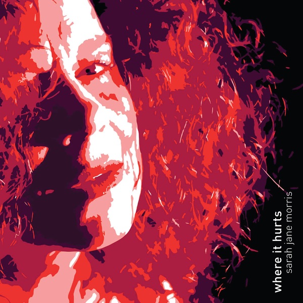 Обложка альбома «Where It Hurts» — Sarah Jane Morris