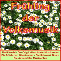 Treffpunkt Edelweiss