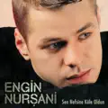Resmini Yırttırma Bana