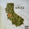 iStack (feat. John J and J Mac) - DJ B Knockin lyrics