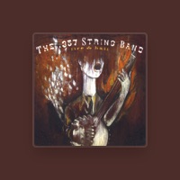 The .357 String Band