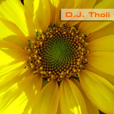 Listen to Mystery by D.J. Tholi