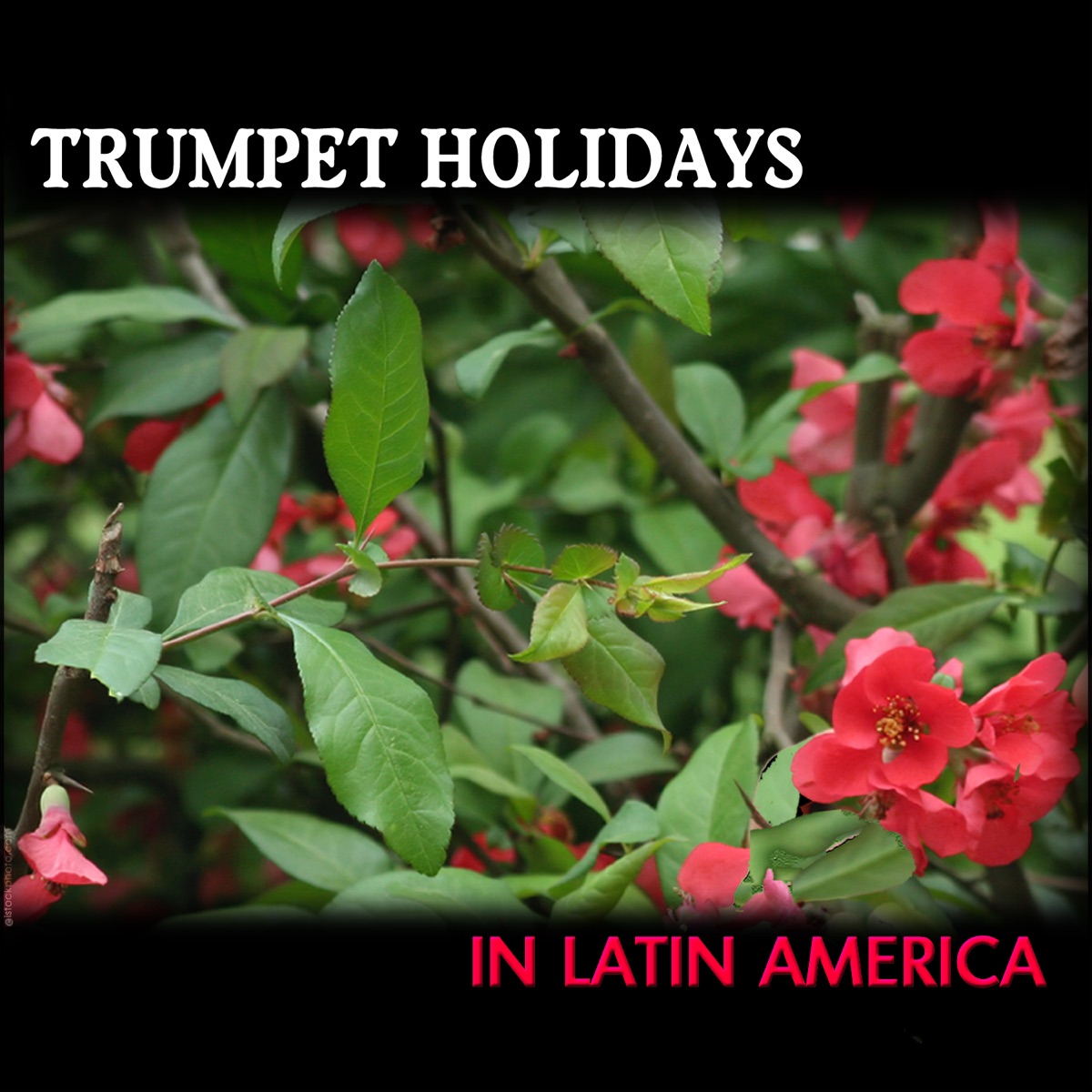 Trumpet Holidays In Latin America, Trompette Latino – Album par Tony  Camarro – Apple Music