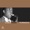 Charlie Parker - Milestones