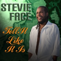 Stevie Face - Proverbs 6