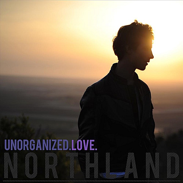 Unorganized Love artwork