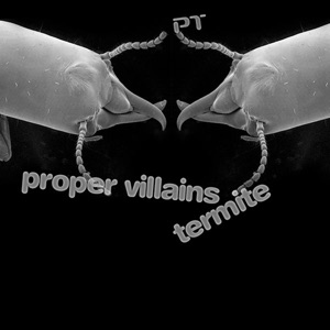 Termite - Single
