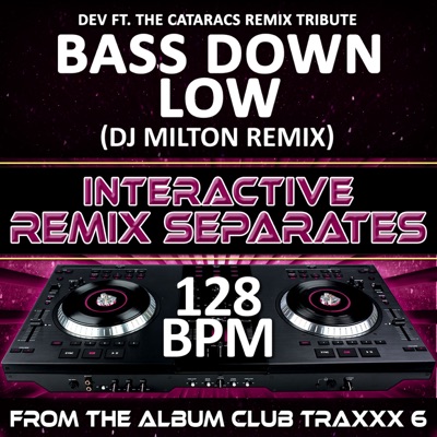 Bass Down Low (Dev feat. The Cataracs Remix Tribute)(128 BPM Interactive Remix Separates)