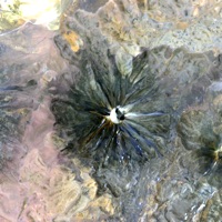 Night Rhythm - EP - Miele