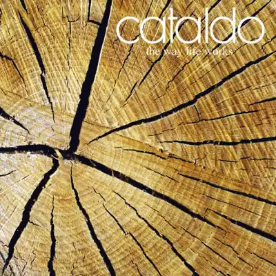 Listen to The Way Life Works by Cataldo