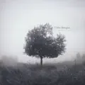 Cicatriz