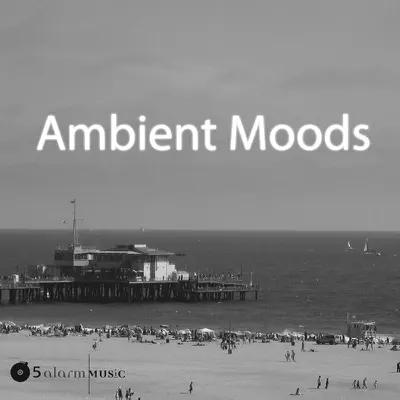 Escucha Ambient Moods de Peter Neff & Kenneth Burgomaster