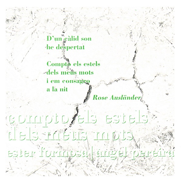 Compto Els Estels Dels Meus Mots