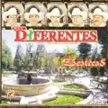 Puño De Tierra