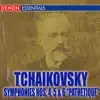 Radio Symphony Orchestra Ljubljana & Marko Munih - Symphony No. 5 In e Minor, Op. 64: IV. Andante Maestoso— Allegro Vivace