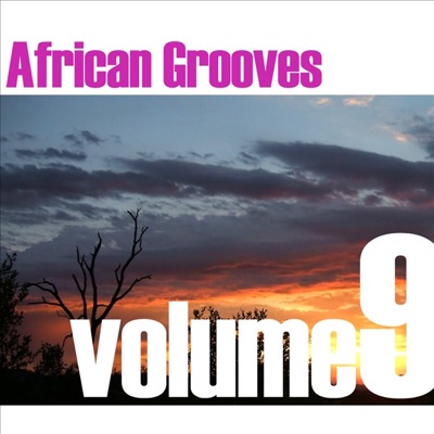 African Grooves, Vol. 9
