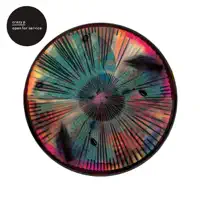 Open for Service (Hot Toddy Remix) — Crazy P