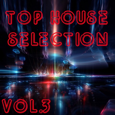 Top House Selection, Vol. 3