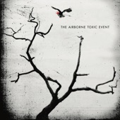 Sometime Around Midnight by The Airborne Toxic Event