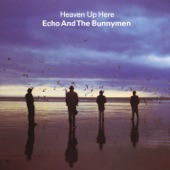 Echo & The Bunnymen - All My Colours