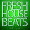 Fresh House Beats 2010, Vol. 2