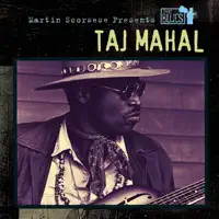 Bound to Love Me Some — Taj Mahal