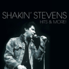 Shakin' Stevens & Bonnie Tyler - A Rockin' Good Way (To Mess Around and Fall In Love) Grafik