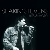A Rockin' Good Way (To Mess Around and Fall In Love) - Shakin' Stevens &amp; Bonnie Tyler Cover Art