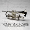 Various Artists - Trompetenkonzert von Georg Philipp Telemann (1681-1767) - D-Dur für Trompete, 2 Oboen und Continuo