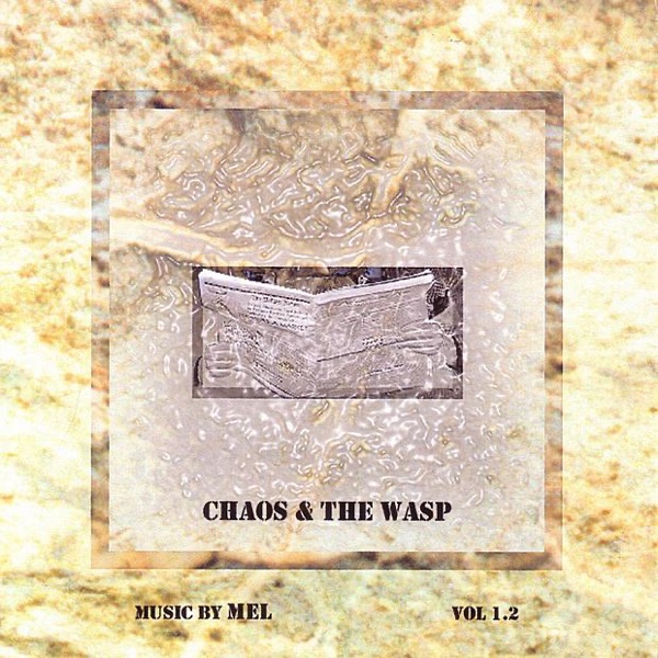 Chaos & the Wasp