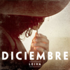 Diciembre - Leiva