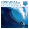Cowabunga (Tom Cloud's South Beach Remix) - DJ Observer & Daniel Heatcliff lyrics